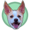 eddie.dog – The Home of Mr. Ed!